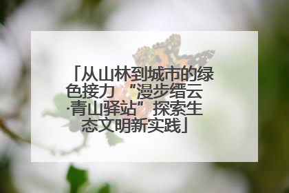 从山林到城市的绿色接力 “漫步缙云·青山驿站”探索生态文明新实践