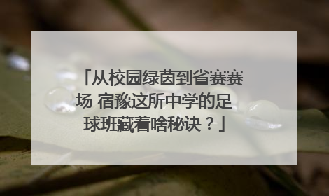 从校园绿茵到省赛赛场 宿豫这所中学的足球班藏着啥秘诀？
