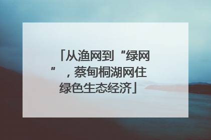 从渔网到“绿网”，蔡甸桐湖网住绿色生态经济
