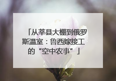 从莘县大棚到俄罗斯温室：鲁西嫁接工的“空中农事”