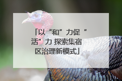 以“和”力促“活”力 探索集宿区治理新模式