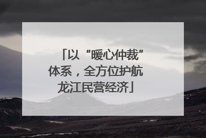 以“暖心仲裁”体系，全方位护航龙江民营经济
