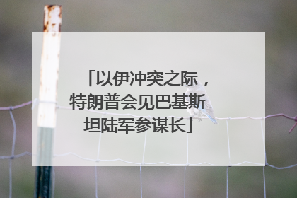 以伊冲突之际，特朗普会见巴基斯坦陆军参谋长