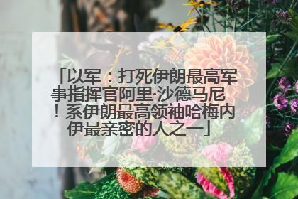 以军：打死伊朗最高军事指挥官阿里·沙德马尼！系伊朗最高领袖哈梅内伊最亲密的人之一