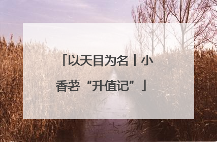 以天目为名丨小香薯“升值记”