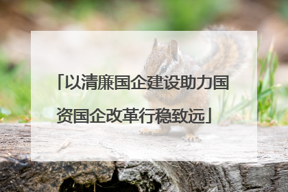 以清廉国企建设助力国资国企改革行稳致远