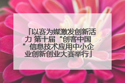 以赛为媒激发创新活力 第十届“创客中国”信息技术应用中小企业创新创业大赛举行