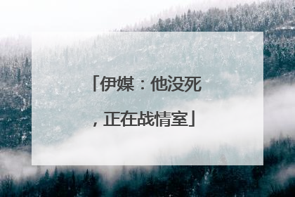 伊媒：他没死，正在战情室