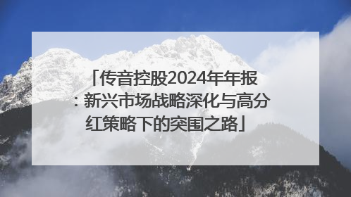传音控股2024年年报：新兴市场战略深化与高分红策略下的突围之路