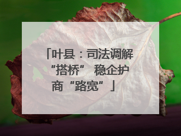 叶县：司法调解“搭桥” 稳企护商“路宽”