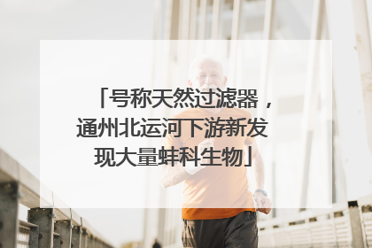 号称天然过滤器，通州北运河下游新发现大量蚌科生物