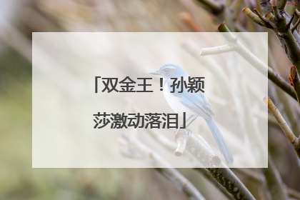 双金王！孙颖莎激动落泪