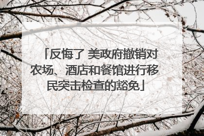 反悔了 美政府撤销对农场、酒店和餐馆进行移民突击检查的豁免
