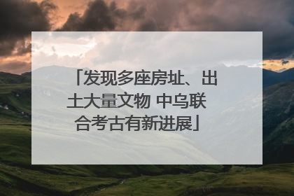 发现多座房址、出土大量文物 中乌联合考古有新进展