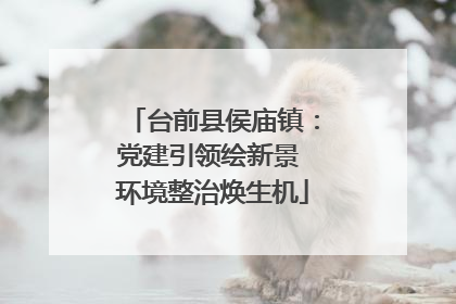 台前县侯庙镇：党建引领绘新景 环境整治焕生机