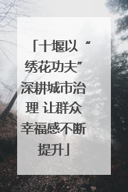十堰以“绣花功夫”深耕城市治理 让群众幸福感不断提升