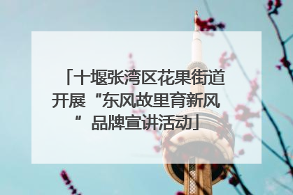十堰张湾区花果街道开展“东风故里育新风”品牌宣讲活动