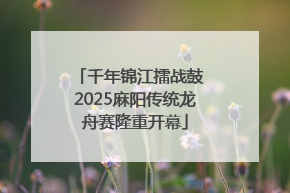 千年锦江擂战鼓 2025麻阳传统龙舟赛隆重开幕
