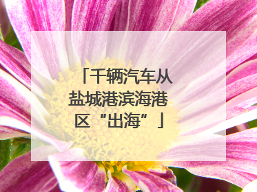 千辆汽车从盐城港滨海港区“出海”
