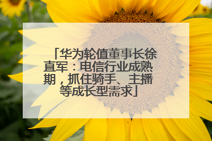 华为轮值董事长徐直军：电信行业成熟期，抓住骑手、主播等成长型需求
