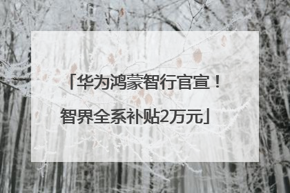 华为鸿蒙智行官宣！智界全系补贴2万元
