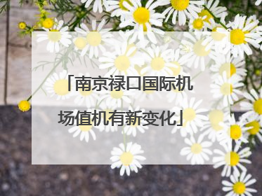 南京禄口国际机场值机有新变化
