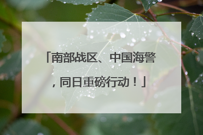 南部战区、中国海警，同日重磅行动！