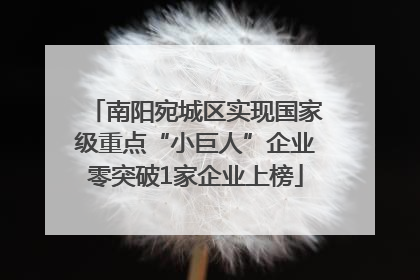 南阳宛城区实现国家级重点“小巨人”企业零突破1家企业上榜