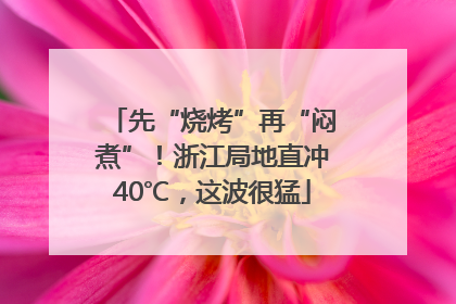 先“烧烤”再“闷煮”！浙江局地直冲40℃，这波很猛