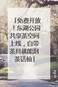 免费开放！东湖公园共享茶空间上线，自带茶具就能泡茶话仙