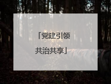 党建引领 共治共享