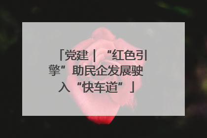 党建｜“红色引擎”助民企发展驶入“快车道”