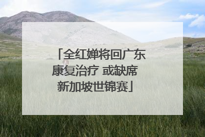 全红婵将回广东康复治疗 或缺席新加坡世锦赛