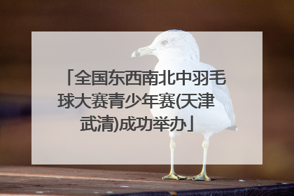 全国东西南北中羽毛球大赛青少年赛(天津武清)成功举办