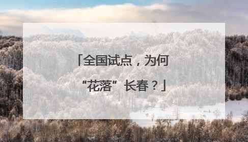 全国试点，为何“花落”长春？
