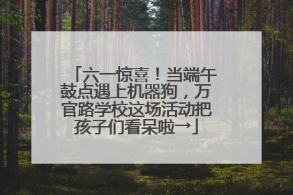 六一惊喜！当端午鼓点遇上机器狗，万官路学校这场活动把孩子们看呆啦→