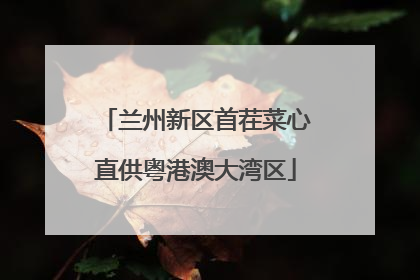 兰州新区首茬菜心直供粤港澳大湾区