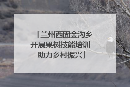 兰州西固金沟乡开展果树技能培训 助力乡村振兴