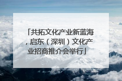 共拓文化产业新蓝海，启东（深圳）文化产业招商推介会举行