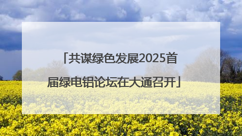 共谋绿色发展2025首届绿电铝论坛在大通召开