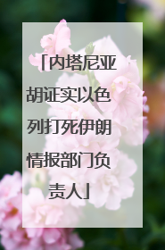 内塔尼亚胡证实以色列打死伊朗情报部门负责人