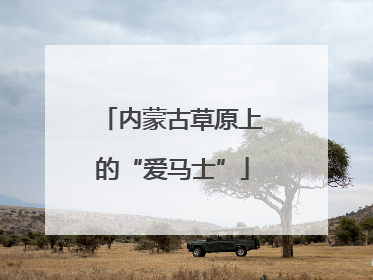 内蒙古草原上的“爱马士”