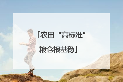 农田“高标准” 粮仓根基稳