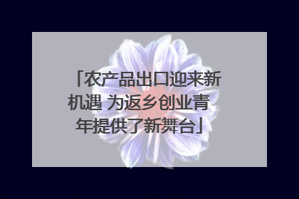 农产品出口迎来新机遇 为返乡创业青年提供了新舞台