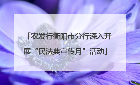 农发行衡阳市分行深入开展“民法典宣传月”活动