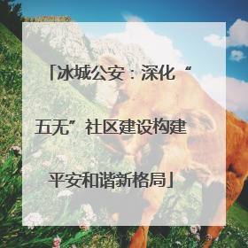 冰城公安：深化“五无”社区建设构建平安和谐新格局