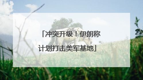冲突升级！伊朗称计划打击美军基地