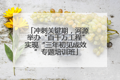 冲刺关键期，河源举办“百千万工程”实现“三年初见成效”专题培训班