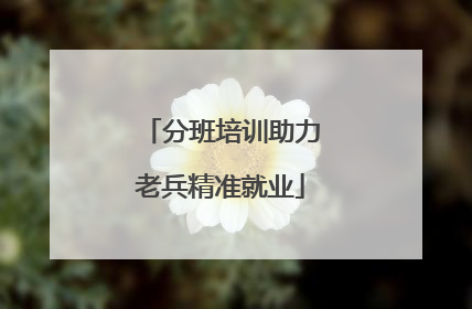分班培训助力老兵精准就业
