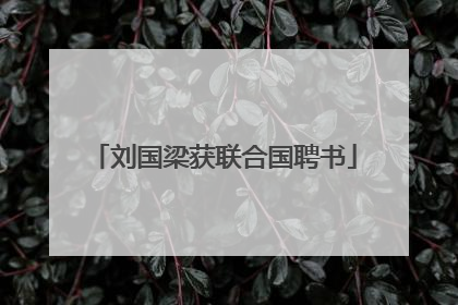 刘国梁获联合国聘书